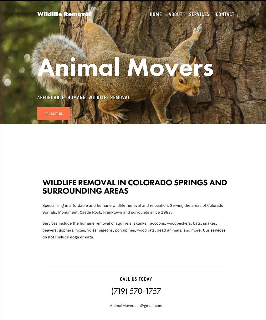 Colorado Springs Wildlife Control