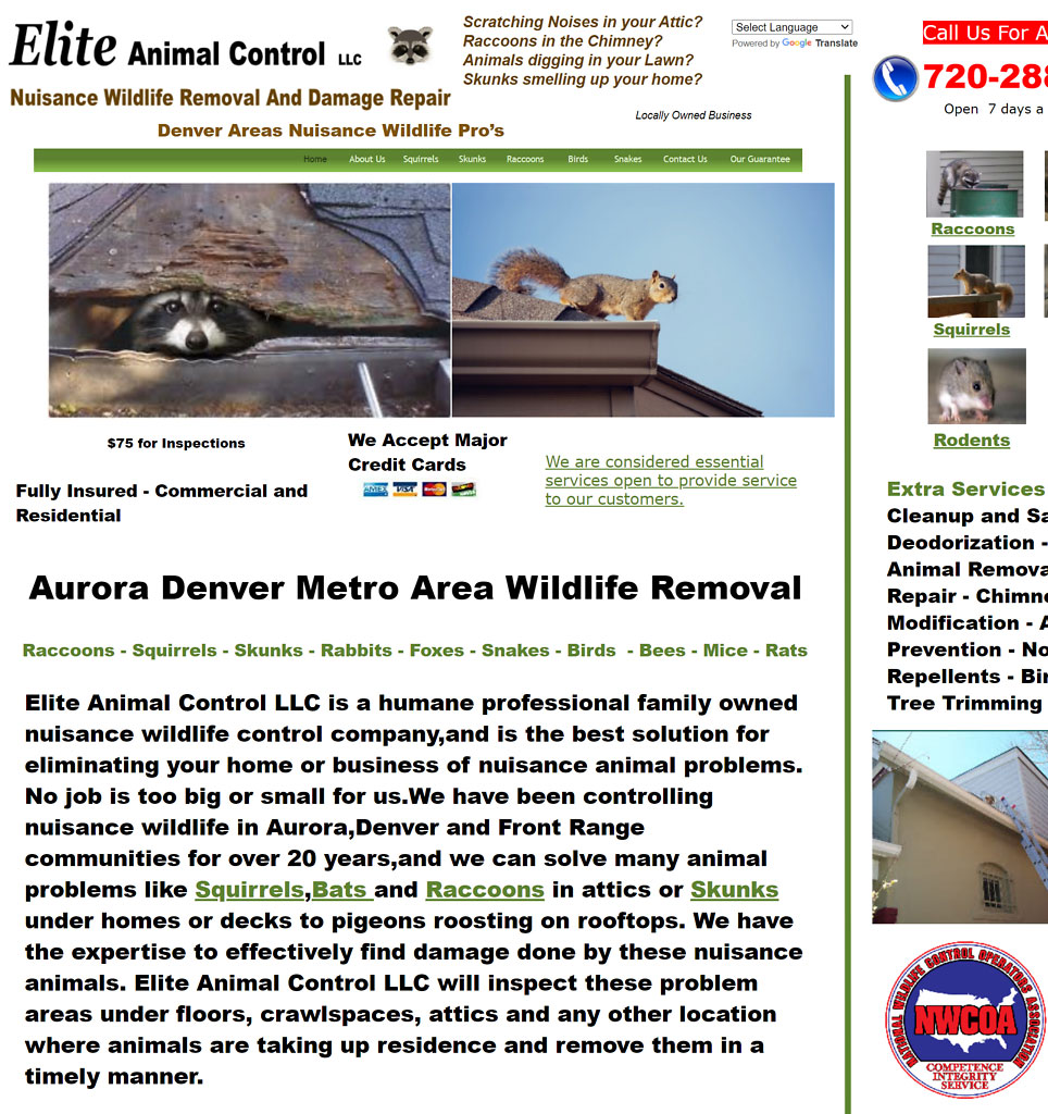 Denver Wildlife Control